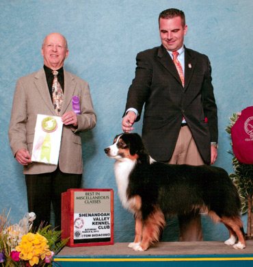 Ref BIS MISC at Shenandoah Valley Kennel Club