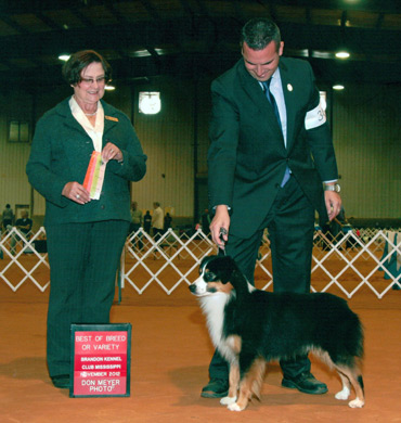 Ref at Brandon Kennel Club