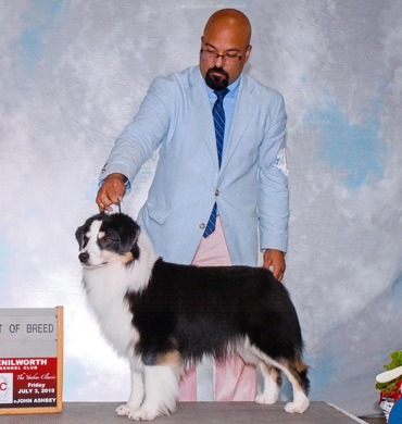 Remi becomes first Best of Breed Winner