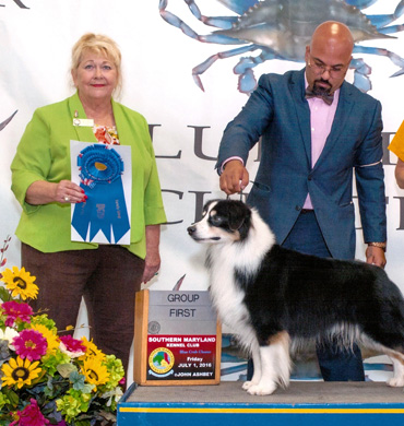 Remi wins Group 1 in the herding group at Blue Crab Cluster