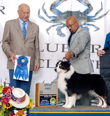 Remi wins Group 1 in the herding group at Blue Crab Cluster