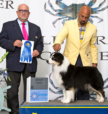 Remi wins three consecutive Group One awards