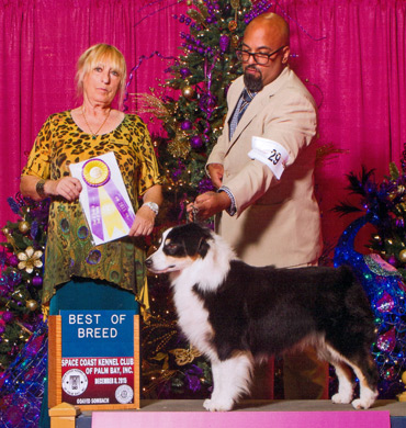 Remi Eukanuba Pre Show Best of Breed Winner