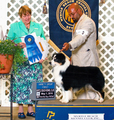 Remi earns Group 1 at Myrtle Beach Kennel Club