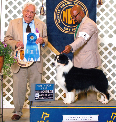 Remi earns Group 1 at Myrtle Beach Kennel Club