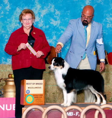 Remi wins MISC BIS in Orlando