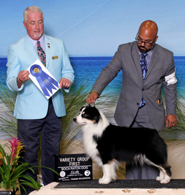 Remi earns Group One at West Boca Raton Kennel Club