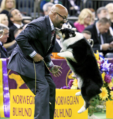 Remi jumping for joy at Madison Square Garden