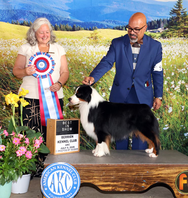 Sawyer earns Best in Show at the Berrien Kennel Club