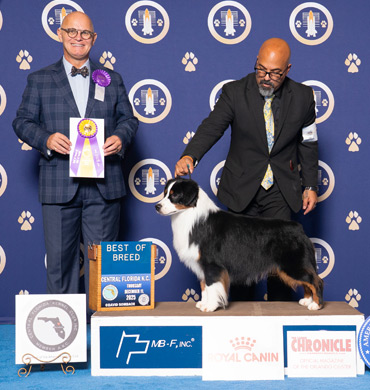 Sawyer wins Best of Breed at the Central Florida Kennel Club