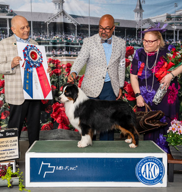 Sawyer earns Group 2 at the Westminster Kennel Club show