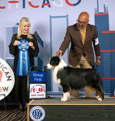 Sawyer earns Group First at the Great American Dog Show