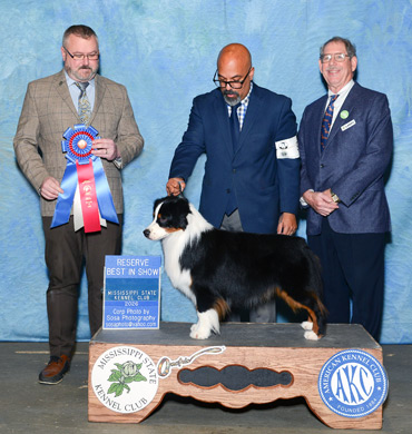 Sawyer wins Reserve Best in Show at the Mississippi State Kennel Club
